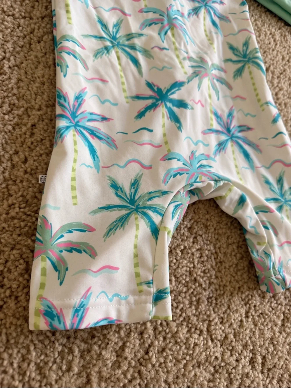 Caden Lane Mint Green Sleeve Palm-Print Long-Sleeve Rashguard